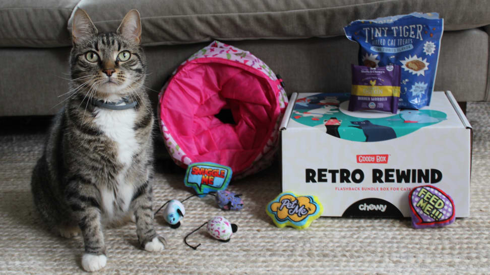 Nugget the cat next to a Goody Box from Chewy