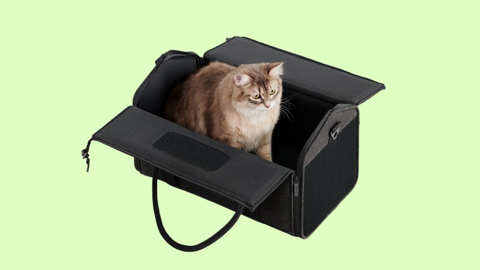 A cat sitting inside an open Tuft + Paw Porto Cat Carrier.