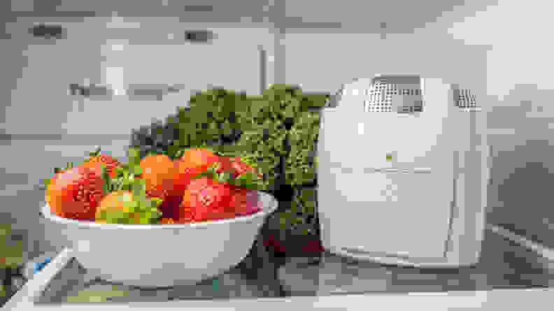 A FridgeFresh inside a fridge with strawberries and kale
