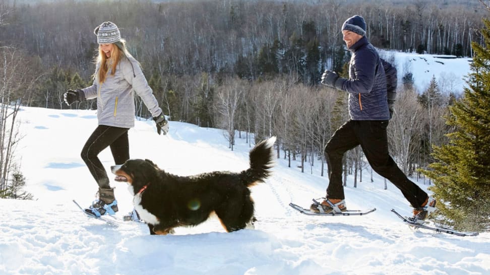 ll bean dog boots