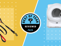 A dog leash and a cat litter box on a gold and blue background