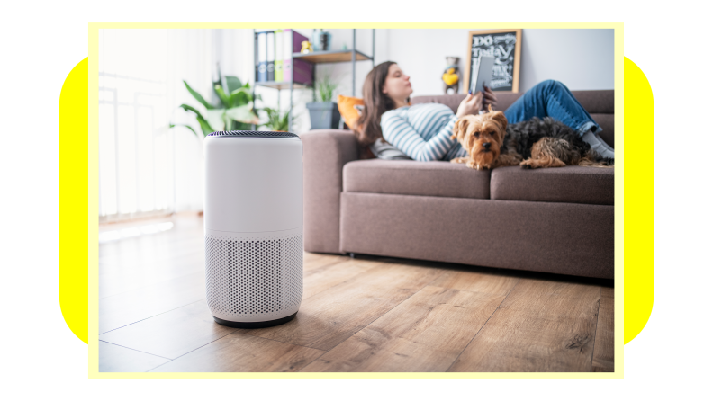 Person laying on couch with dog next to air purifier on floor.