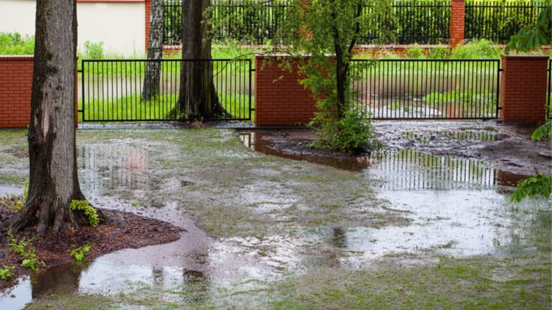 A yard flooding with water