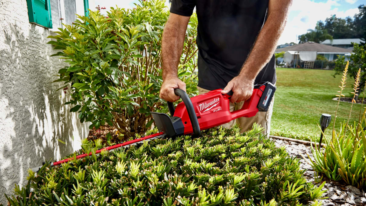 best pole hedge trimmer
