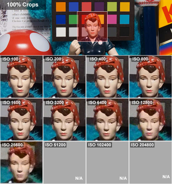 rosiecropsem10.jpg