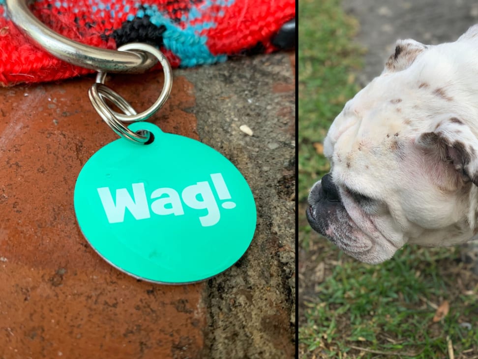 Dog Person Keychain & Pet Tag Set