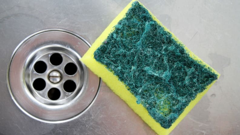 How to clean a sponge and how often to replace it