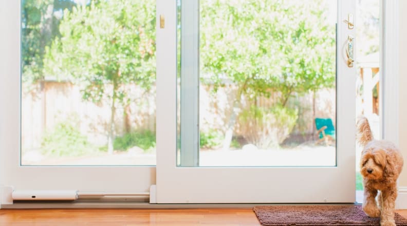 Wayzn Smart Sliding Glass Door Opener