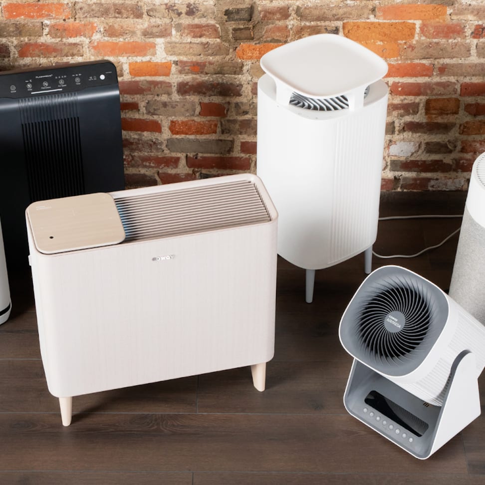 The 7 Best Air Purifiers for Pets of 2024, Tested and Reviewed