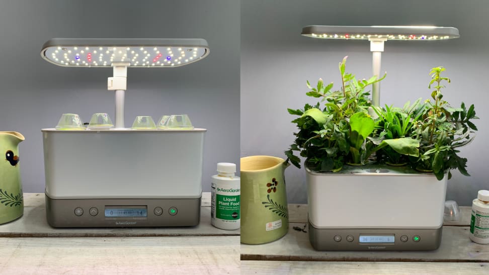 The Aerogarden in two shots, the left is empty and the right shows the plants fully grown one moth later