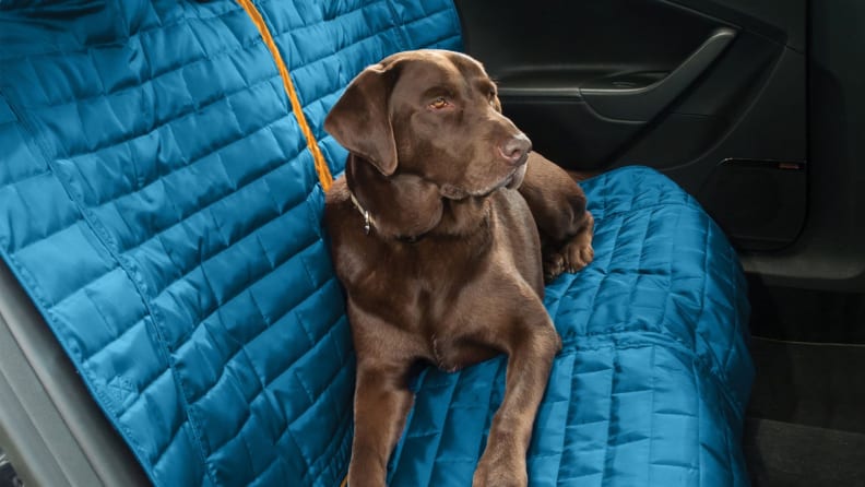 Protect your seats from wet, muddy dogs.