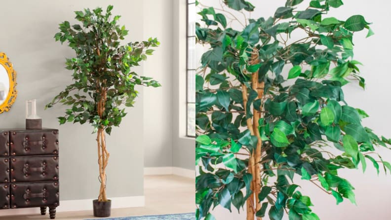 18 fake plants that don't actually look fake - Reviewed