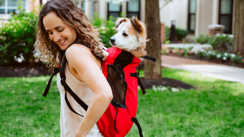 An image of a young woman carrying a dog in a backpack.