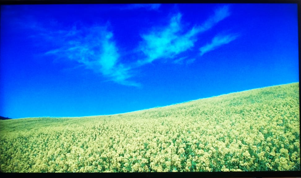 UP130-picture-backlight-uniformity