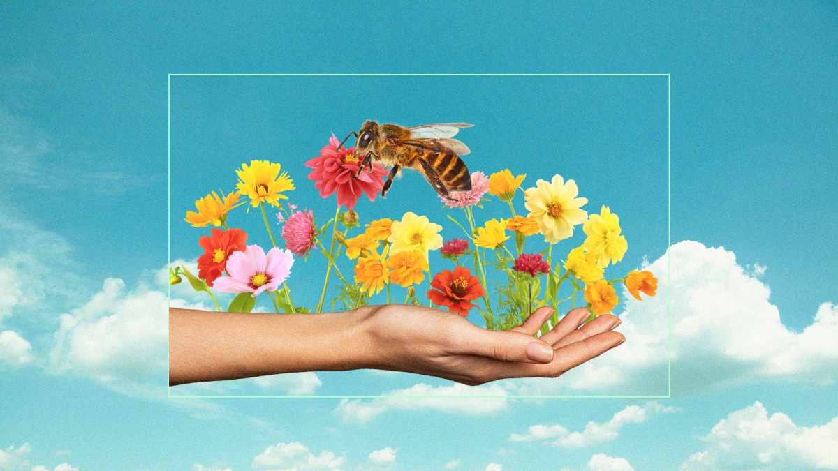 Insecticide use can also be bee-safe—here’s how - Reviewed