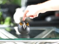 Owl is designed to keep an eye on your house and loved ones.
