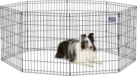 Dog exercise clearance pen near me