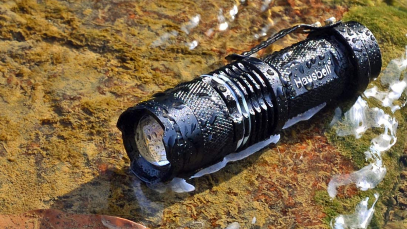 A small flashlight sits on a wet rock.