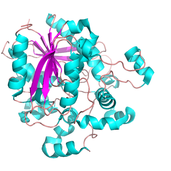 LIPASE_2NDARY.png