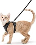 Product image of rabbitgoo Adjustable Cat Harness 