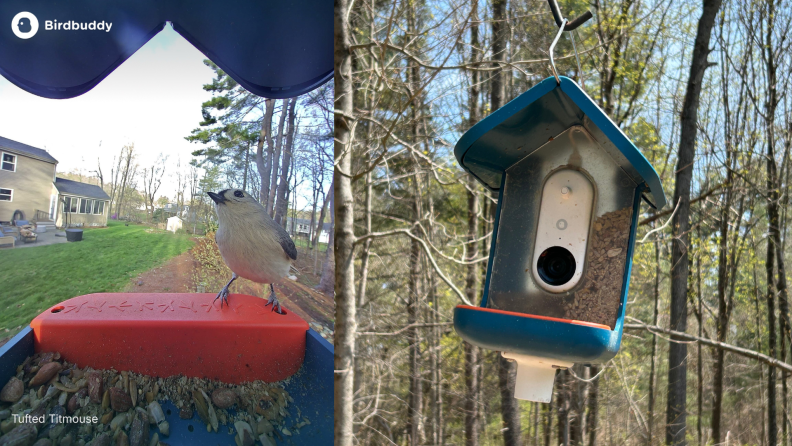two images side by side, one from of a bird feeder looking out at a tufted titmouse; one of a hanging birdfeeder with woods in the background