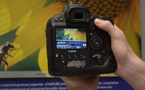 FI LCD Photo