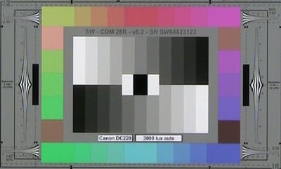 Canon_D220_3000lux_auto_web.jpg
