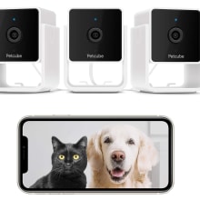 Product image of Petcube Pack of 3 Cam Indoor Wi-Fi Pet and Security Camera