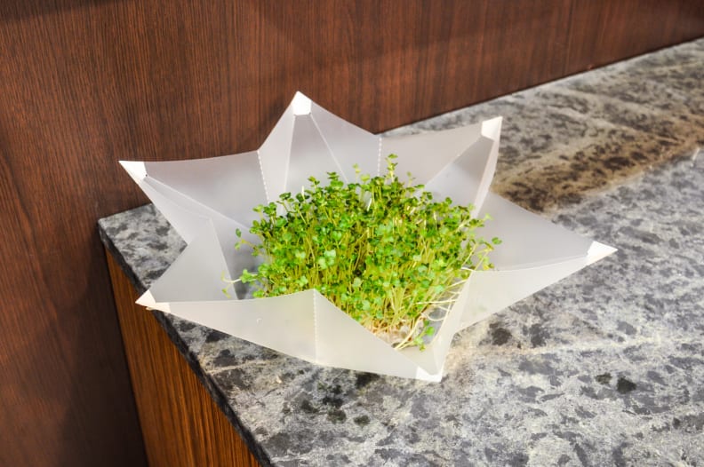 Microgarden