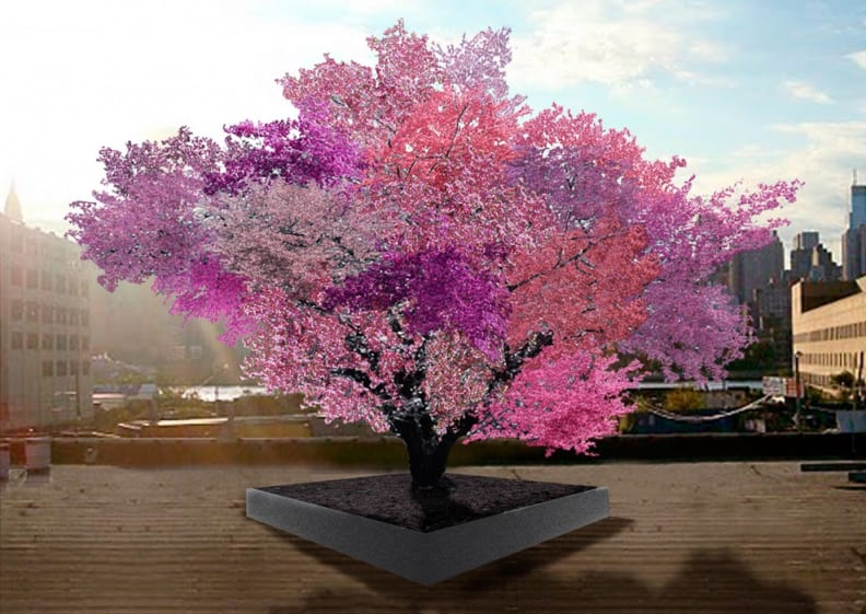 Tree of 40 Fruit Render