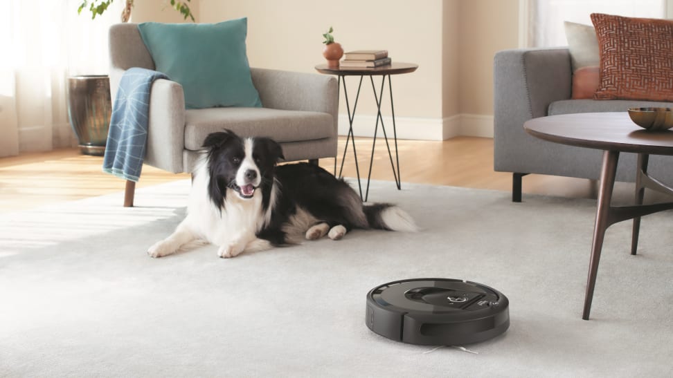 Robot vacuums, like the popular iRobot Roomba or Neato BotVacs, are a helpful cleaning tool, but they're not necessarily right for every home.