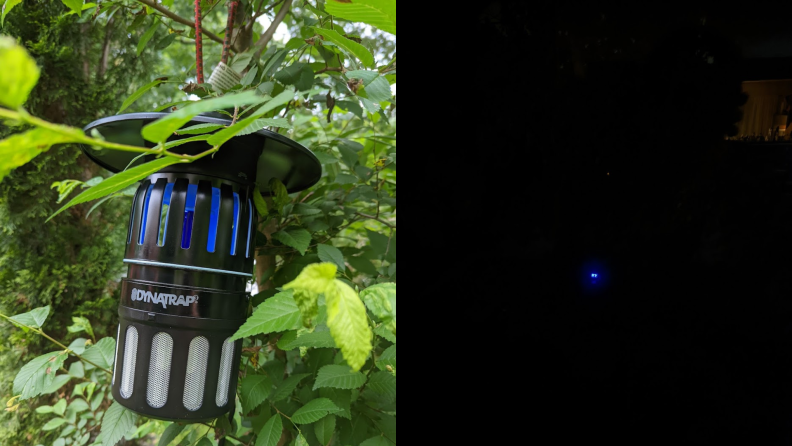 On left, the Dynatrap insect trap  hanging from tree. On right, blue light in the dark from Dynatrap insect trap.