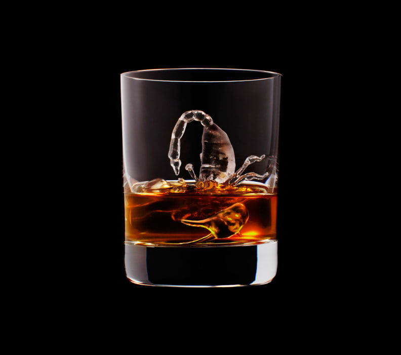 Scorpion ice cube