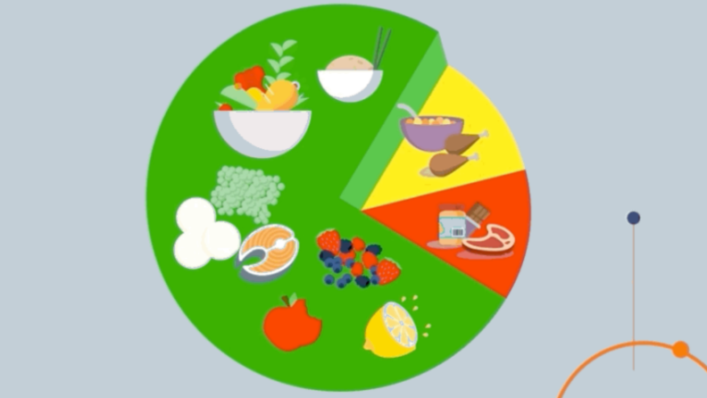 Noom colors in a pie chart