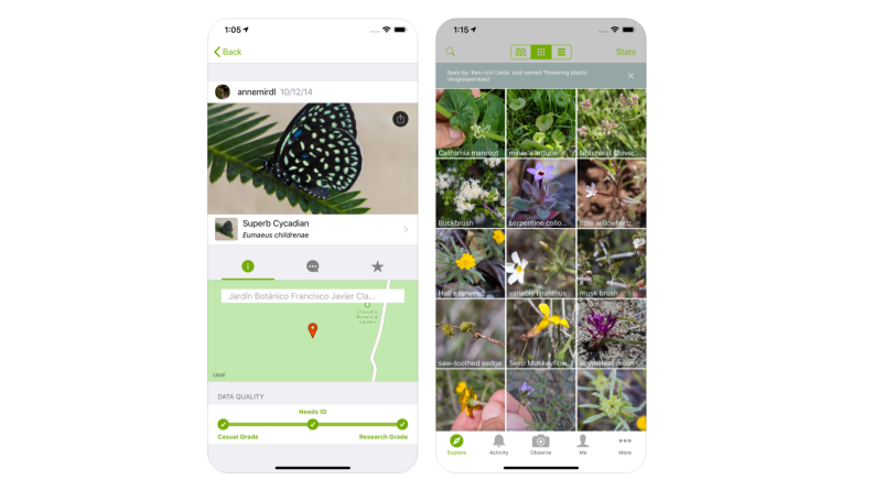 iNaturalist app