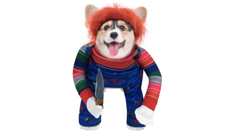 Pup dressed like Chucky