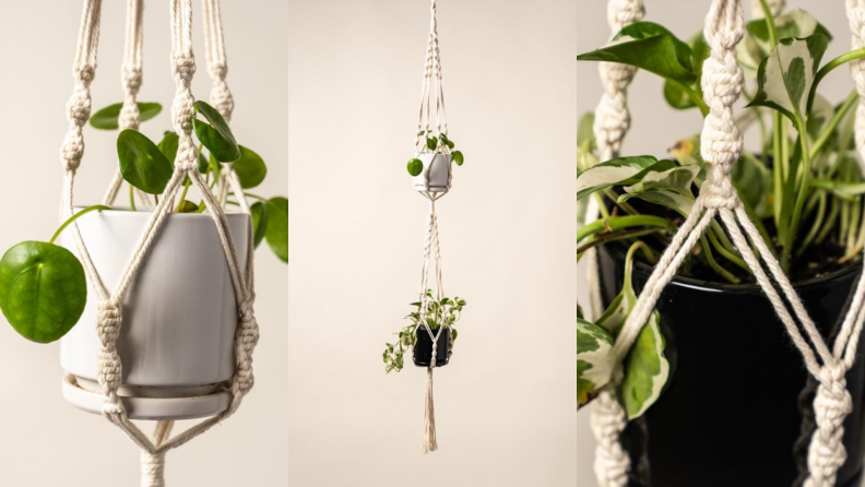 Three images of hanging green plants in white and black pots.