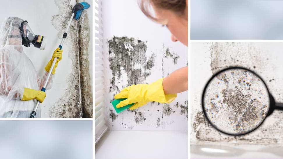 A collage of people cleaning mold around a bathroom.