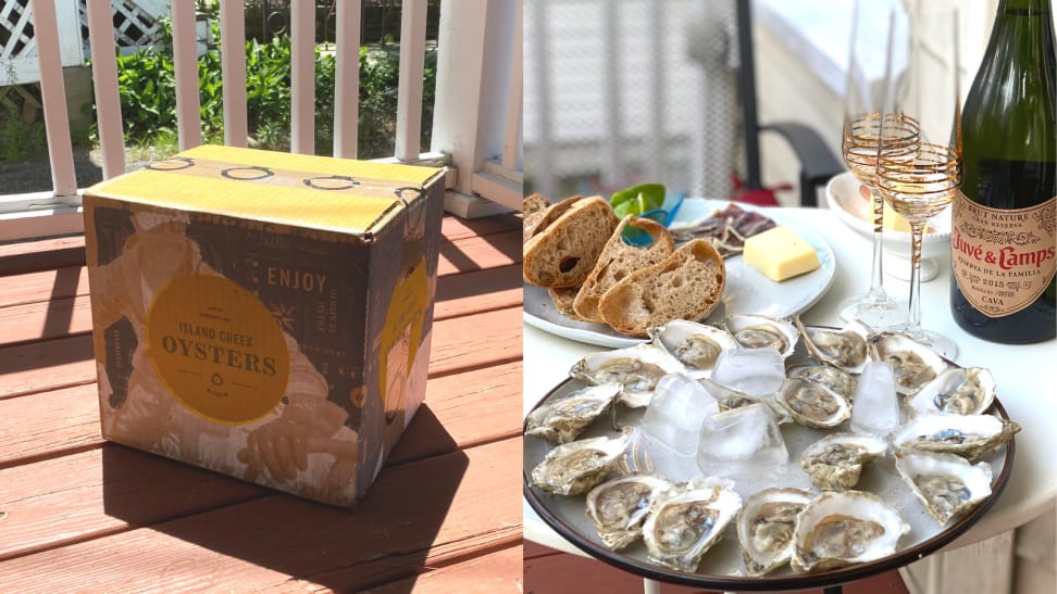 We ordered live oysters online—here's what happened