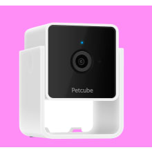 Product image of Petcube Pet Camera