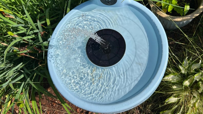 Close up of the water basin on A Birdfy Bath Pro stands in a garden