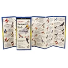 Product image of Sibley's Backyard Birds of the Northeast Folding Guide