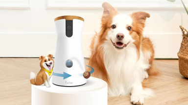 A Furbo Dog Camera with a dog next to it.