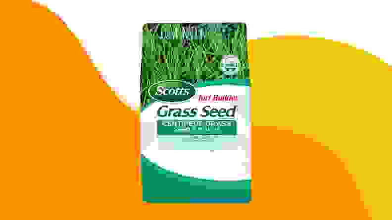 A bag of Scotts grass seed.