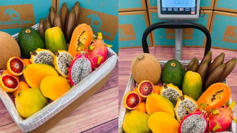 Tropical Fruit Box