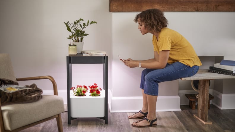 The Miracle-Gro Twelve refers to the fact you'll be able to grow fresh herbs and flowers 12 months out of the year.