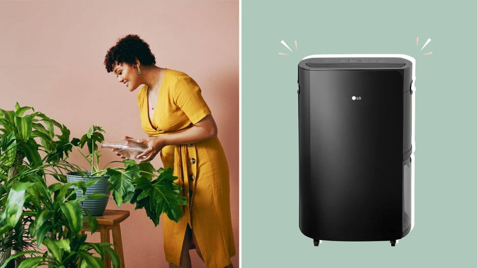 On left, person watering potted plant. On left, black LG PuriCare 2019 50-Pint Black Energy Star Dehumidifier.