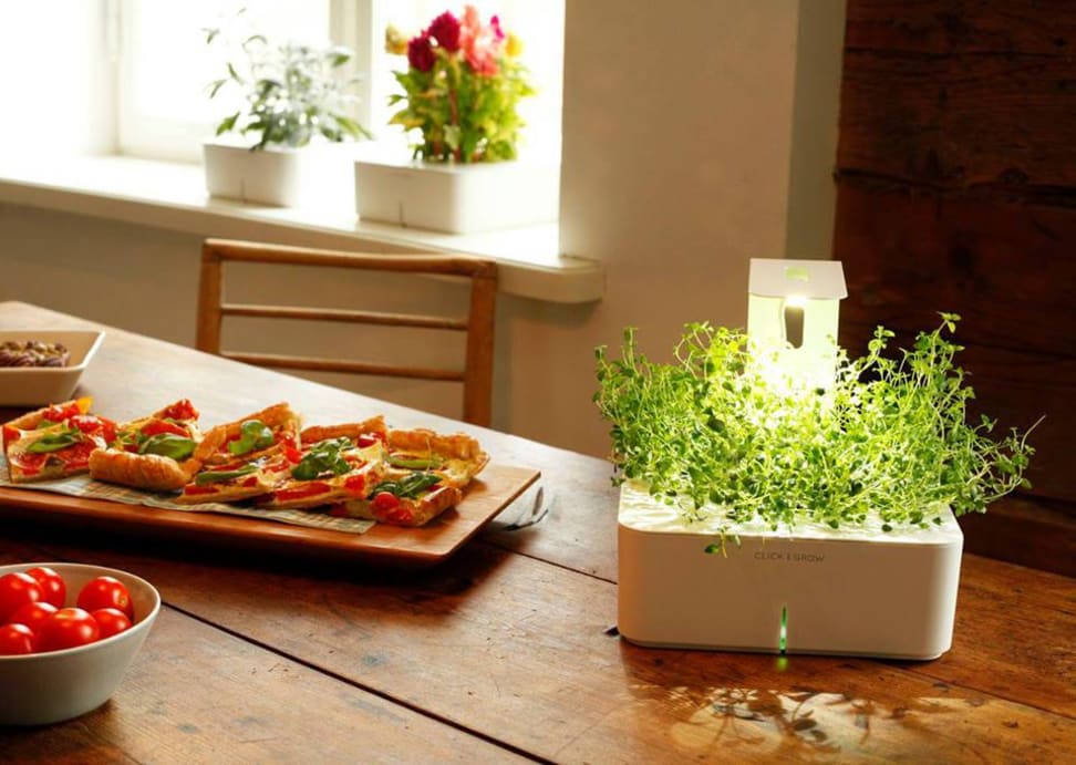 The Click and Grow sits on a kitchen table