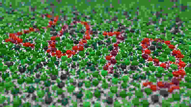 EnChroma glasses work on specific kinds of red-green blindness.
