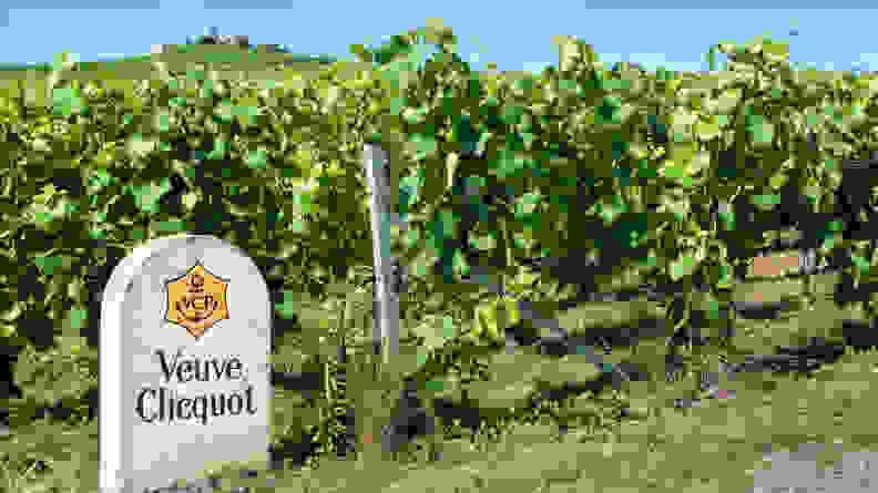 Veuve Clicquot vineyards